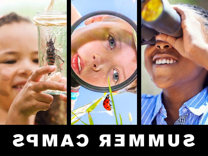 Summer Camps: teen looking through binoculars; boy looking through magnifying glass at ladybug; girl looking at insect in jar.