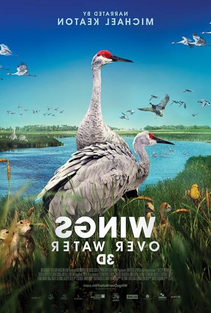 Wings Over Water 3D movie poster: two sandhill cranes stand in front of a river scene.